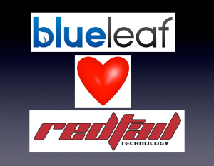 redtail hearts blueleaf